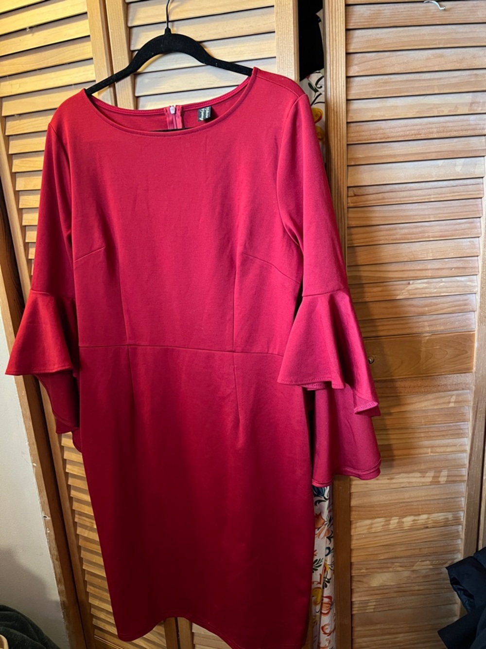 H&M Crimson Ruffle-Sleeve Long Sleeve Dress
